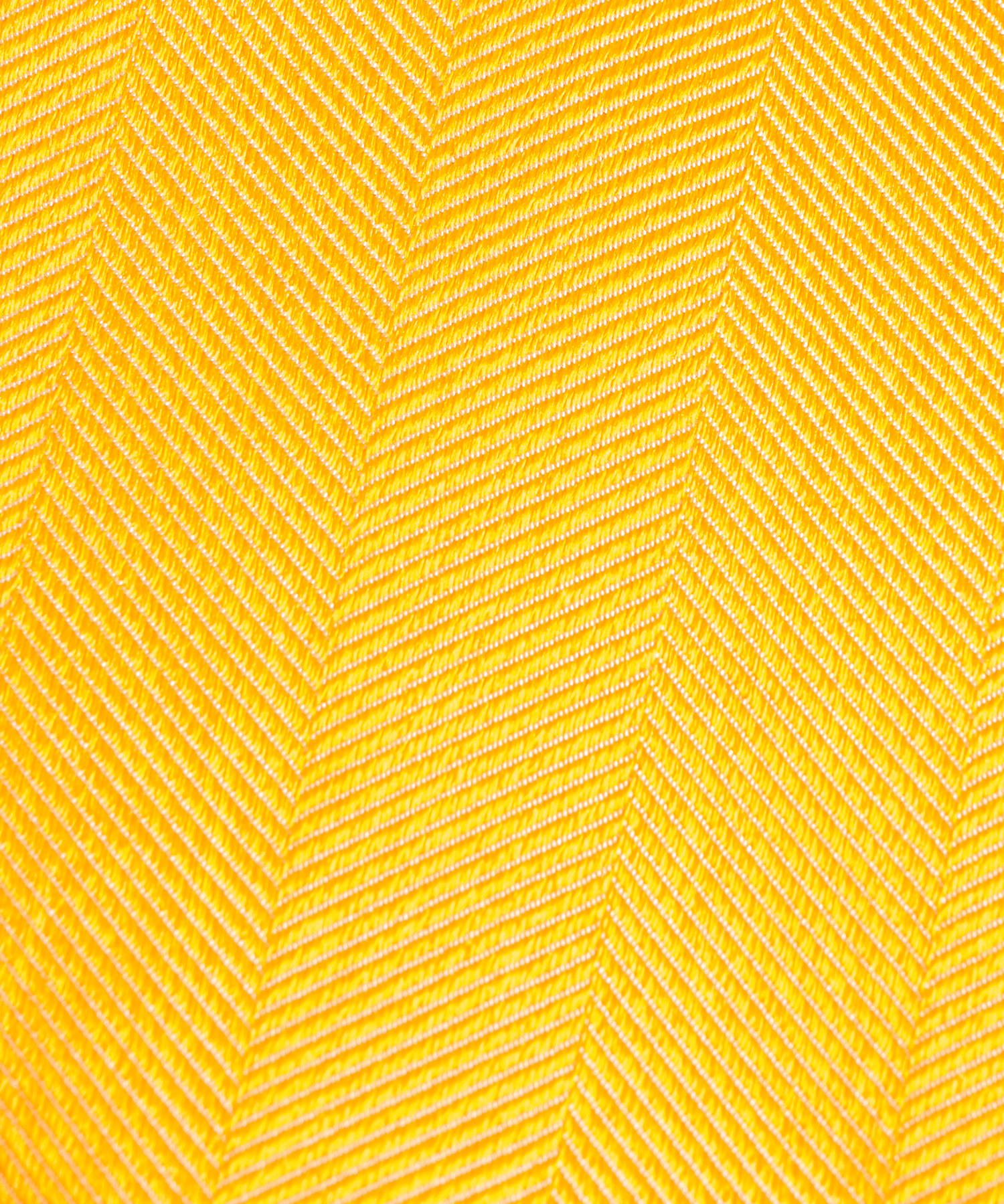 Das zijde geel visgraat