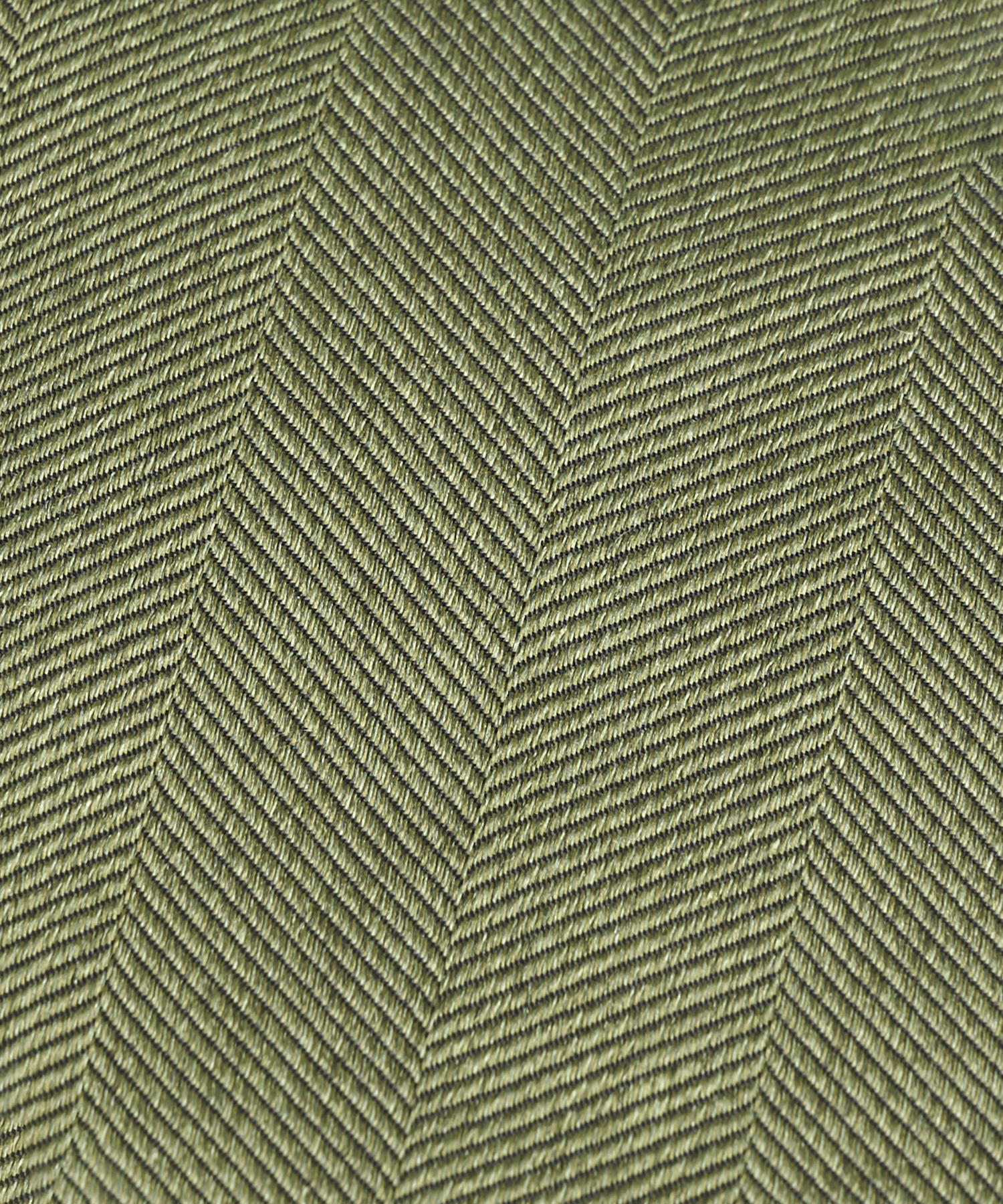 Das zijde groen visgraat