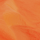 Windjack polyamide oranje